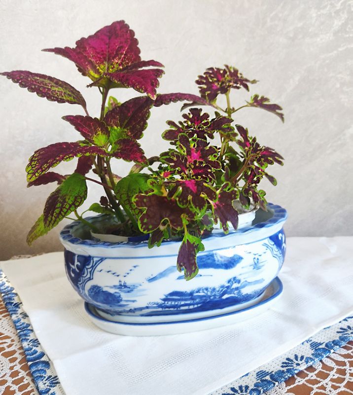 ������ ���������� ��������: ��� ��������� ������� �������� �������� �� ������� � ���