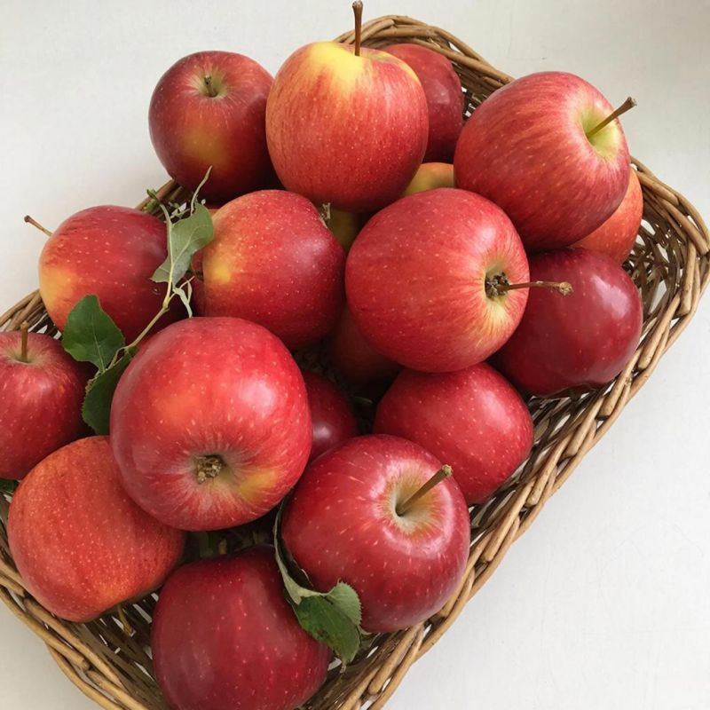 ��� ��������� �������� ����� �� �����: ������� � ��������