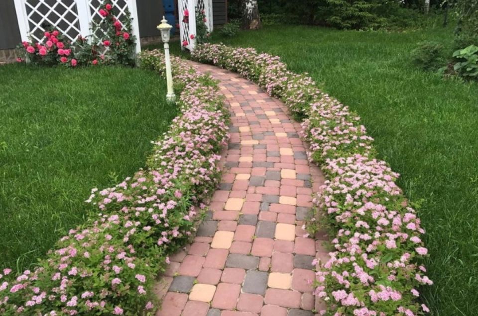 ������� ����� �� ����� �������: ������ ������������ ��� ����� ��������