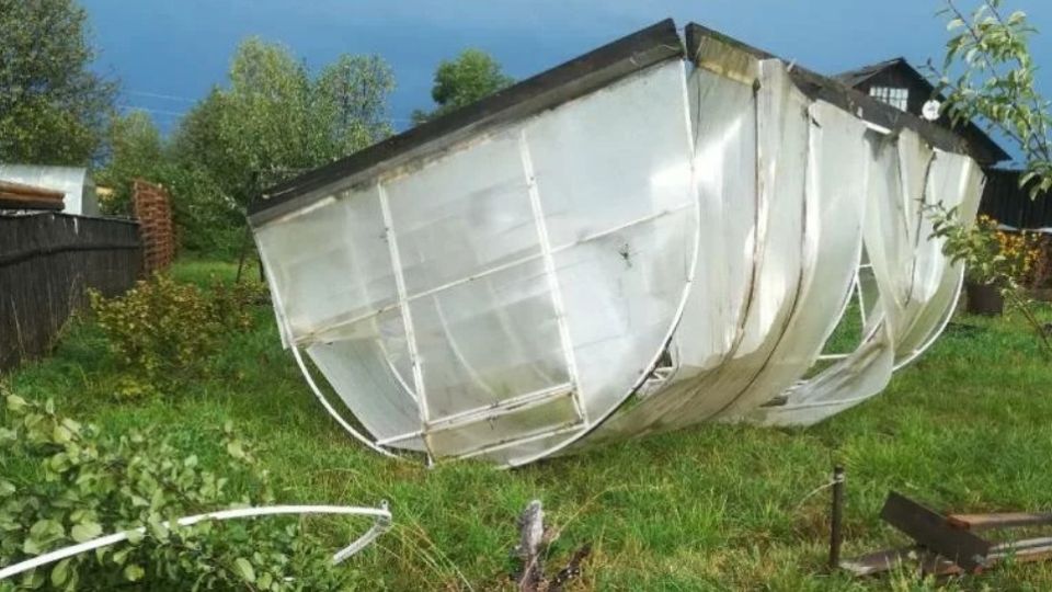 ����-������� ����������: ��� ����� ��������� �������� ������