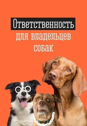 ����� ����� � �������: ��������� ��������� � �������� ���������� ��������