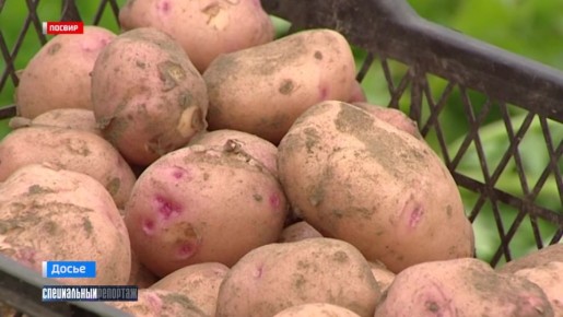 ����������� ��������: ��� �������� ������ ������ � ��������