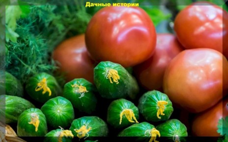 ��� ������� ��� ������� �������: ������ ��� ��������?