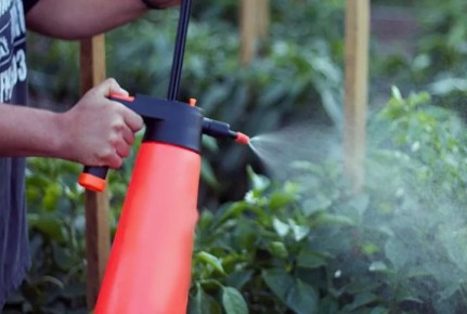 ������� �� �������: �� �������� �����!