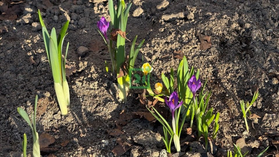 ������ ����, ���������!. � ����� �� ������ �� ���������� � ������������ ������������ ������ �����