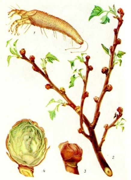 ��� �������� ��������� �� ��������� �����: ������ �������� � ���������� �����