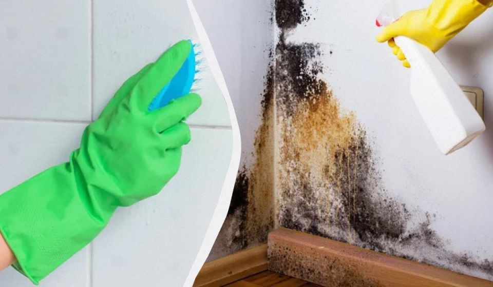 ��� �������� �������� ������ �������: ������� ������ ��� ������ ����