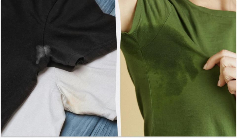 ������ � ������� �� �����������: ������� � �������� �������