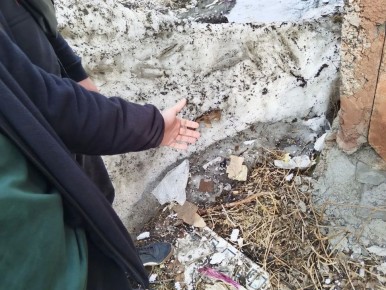 � ��������� 16-������� ������ ������ ������� ���������� ��������� ���� �� ����� ��������� �� ���� ������������� �������