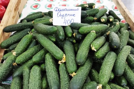 ������ ����������: ������ ��� ������ ����� � ����������