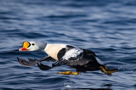 ������ ����, ���������!. �� ���������� ��������� ����� ��������� ���������� � ��������� ����������� ����, ������� ��������� ���� �������� � ������������� ����� � �������� �� ���