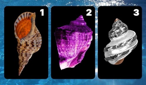 ��� ������� ���� ������� � ������ ������� �������?