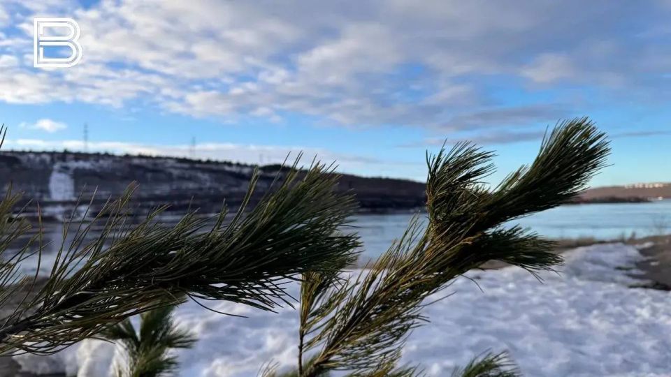 �� ������ ����������� ��������������, 17 ������ � �������� ��������� ��������� �������� � ������������ ������, ������� ��������� ����, ������ ����