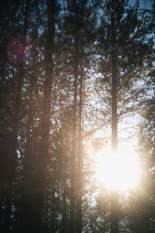 ������ � ����������.. ����: ����� ����������