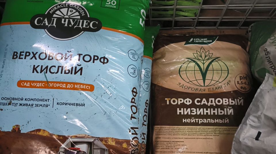 ��� ������� ��������� ����� ��� �������: ������ ���������