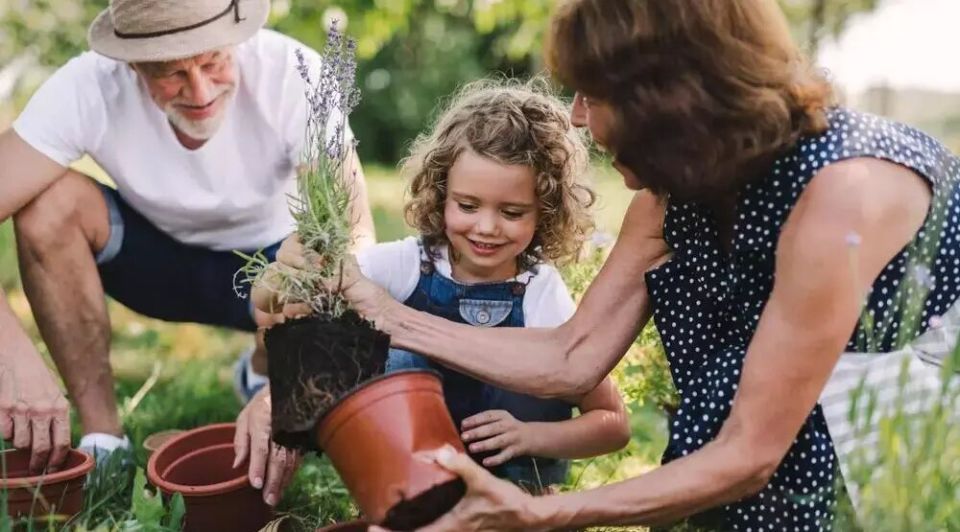 ����� ��� ��� ����� � ����: ������, ��� � �������