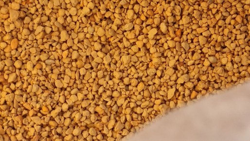 ��������: ������������ ������� ��� ������ �������