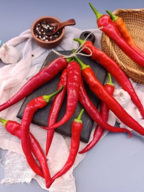 ������ ����� ������: ������ ����� �� ������