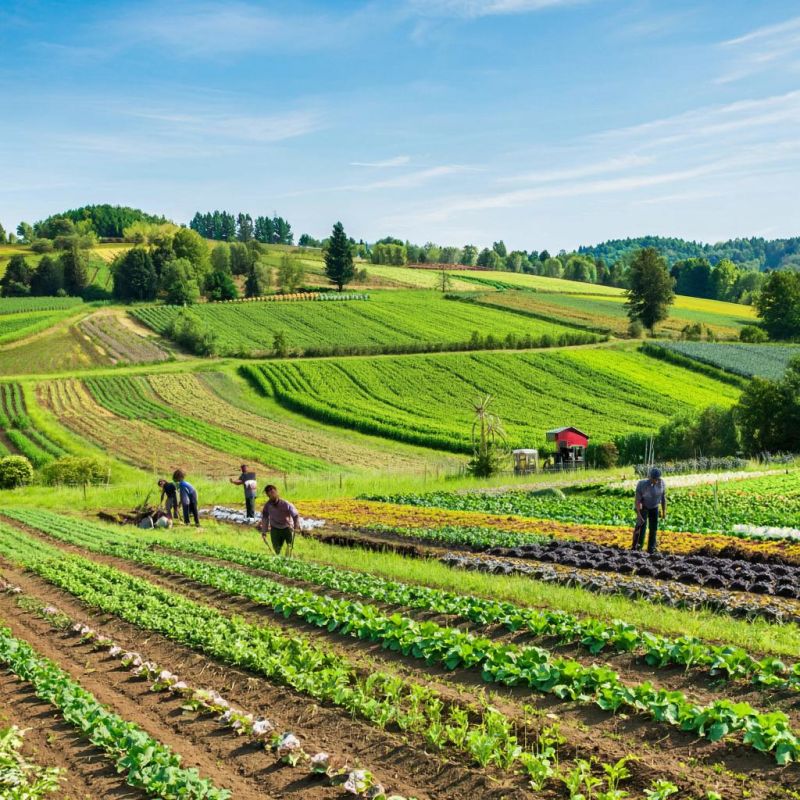 ��� ��������� ����������� ����� � �������� ������: �������� ������ ��� ���������