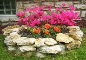 ��� ������� ��������� �������: ������ �� ������ ����� � ������