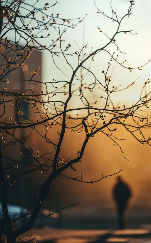 �������� �������� � ���������� ������ � ����� ����