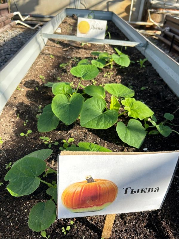 ������ ����, ���������!. � ������� ��������� � �������� ������� ������� �������� �����, ��������� ������ ������ ������ ��� ��������� ����������, � ����� ������ �����, ���� � ������