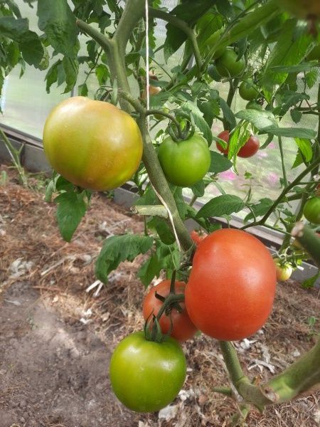 ��� ���������� � �������� ��������� ������� ��� ��������� ������?