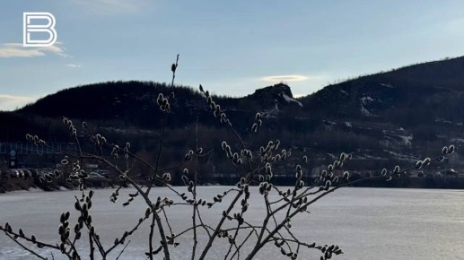 �� ������ ����������� ��������������, 22 ������ � �������� ��������� ��������� �������� ������, ��������� ������� ����, ������ ����