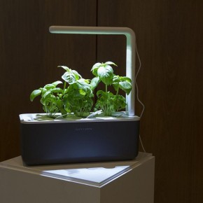 ��� ������� ��������� ������� ��� �������: ������ ��������������