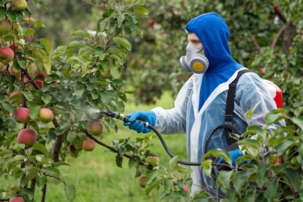 ��� �������������� ������ ������ �� �������, ������ � ������: 9 ������������ ������� �� ����