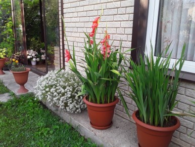 ��� �������� ������� ���� �� ���� � ������� ��� ��� ������