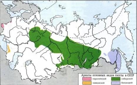 ����� ���������: ���������� ������ ��������� �����