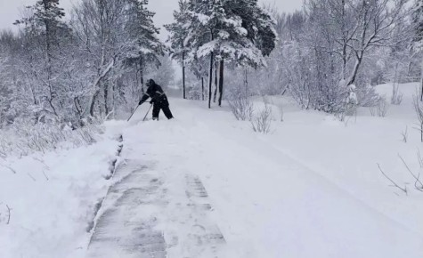 �������� �����������, ��, ���� �� ���������, ������ ��������� �������