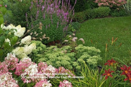 ��� ������� ��� ��� ������ �����