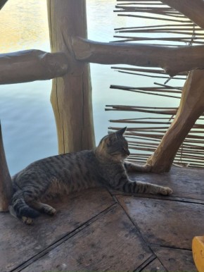 �������� ��� ���� �������: �� ����������� ����� � ��������