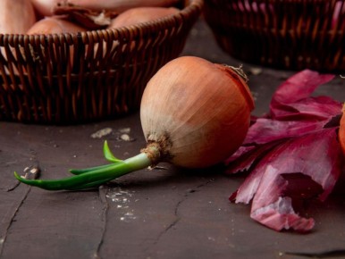 ����� ���� ������� ���: ������� ����� ������