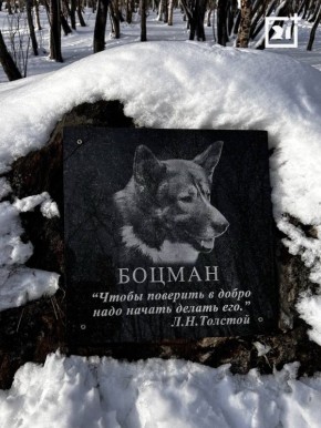 � ��������� ���������� �������� ������� ��������� ���