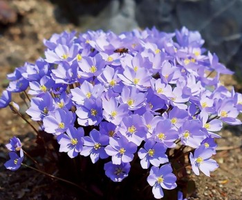 ������ �����: ������������ ������������ ��� ������ � ����� ����