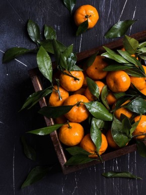 ������������ ������ ����� ���������� � ������ ����� ����������� �����