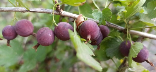 ��� �������� ��� ����� ���� � ������ ����� ����������, ��������� ��������� �����