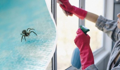 ��� ���������� �� ������ � ������� ��������: ��� ����������� ��������