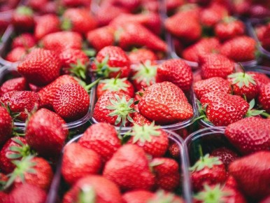 ��� ������ �������� �������� ������ ��������: ������� ������ ����������