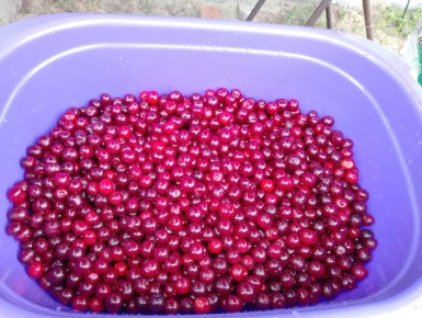 ��� ���������� ������� �������� ������ �� ����