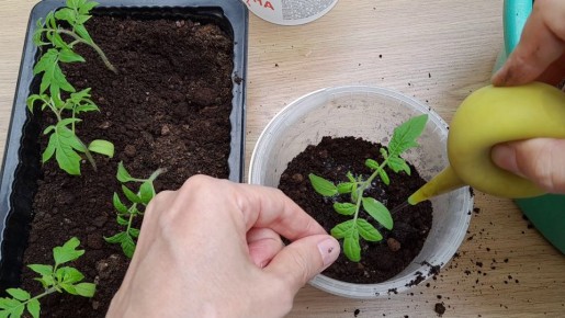 ��� ����� ���������� ������ ��� �������� ������