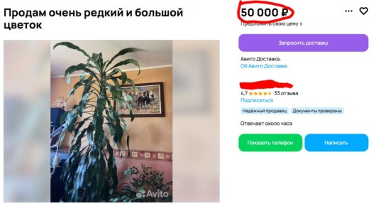 ����������� �������: ����� �������� � ������� ��������� �������� �� �����