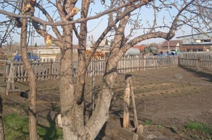 �������� ���� �� ������: ���� �� ����� ������, ����� �������� �������