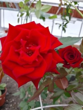 � �������� ������� ������ ������ � ������� ���������� ������� ����