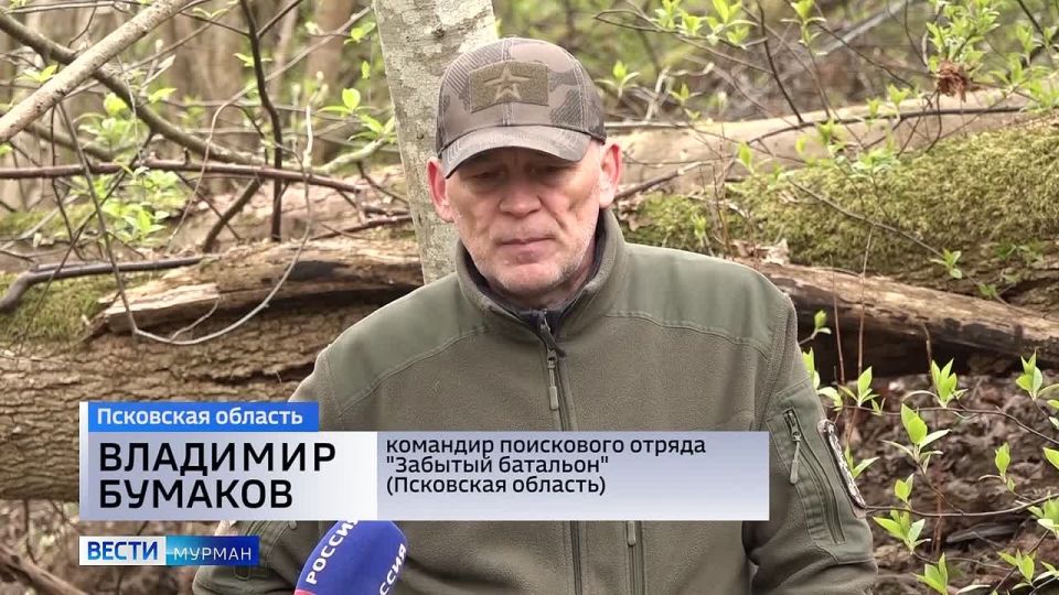 Под Псковом нашли медаль "За отвагу" советского солдата, чьи родные живут в Мурманске