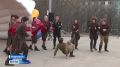 Фестиваль патриотической песни состоялся на Абрам-Мысе в Мурманске в 11-й раз