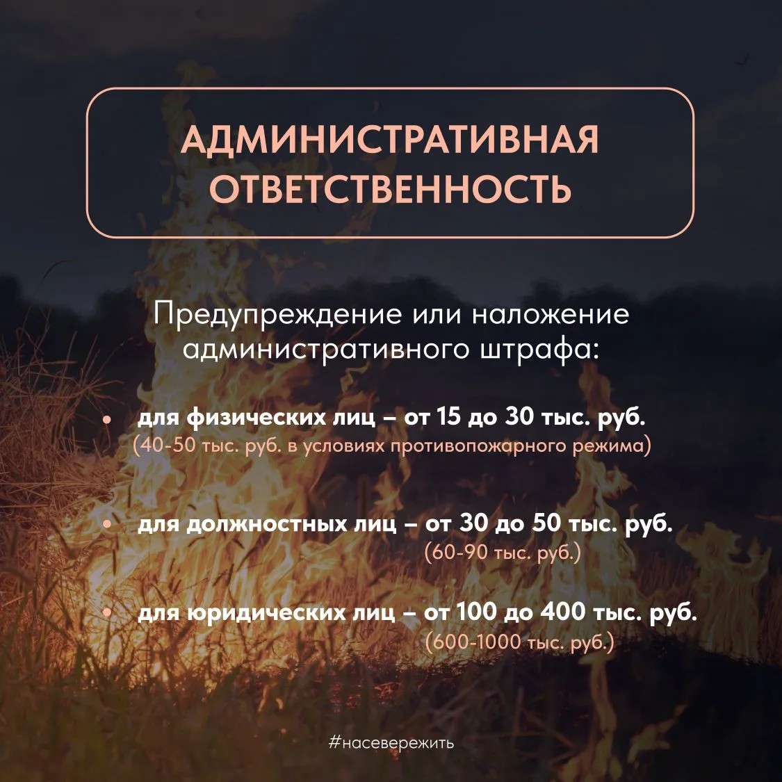 Сегодня, 15 мая, в Мурманской области введен пожароопасный режим Сегодня, 15 мая, в Мурманской области введен пожароопасный режим